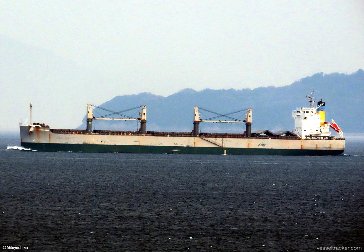 Ammar-I - Bulk Carrier vessel