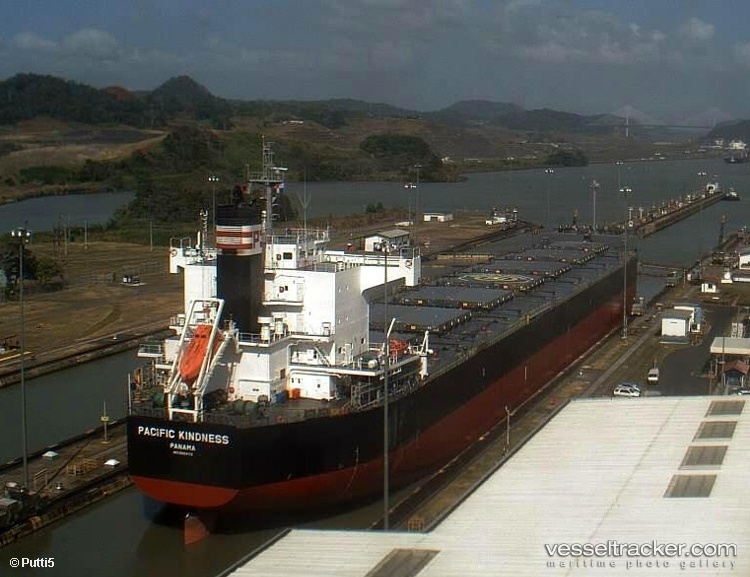 Sea-Bird - Bulk Carrier vessel