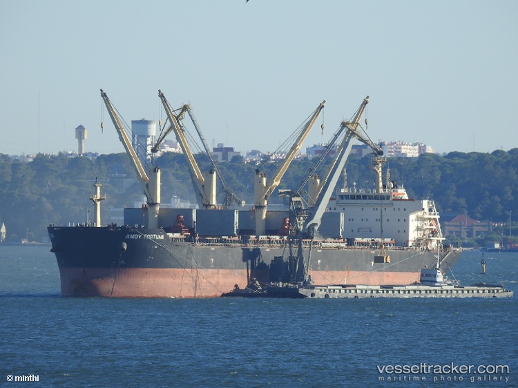 Amoy-Fortune - Bulk Carrier vessel