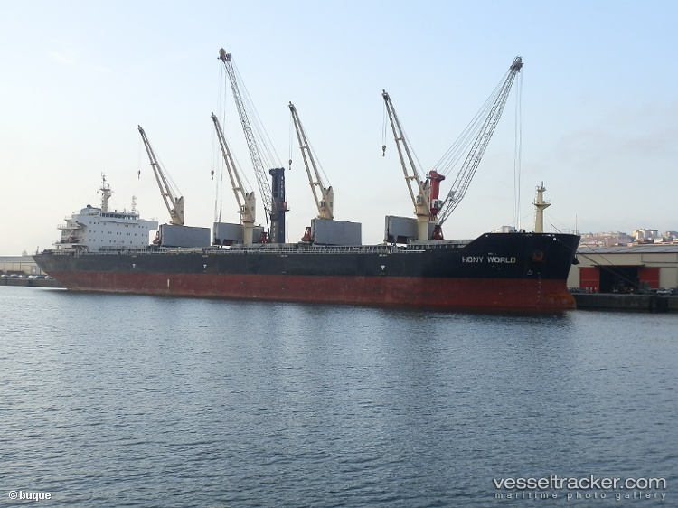 Tulip - Bulk Carrier vessel