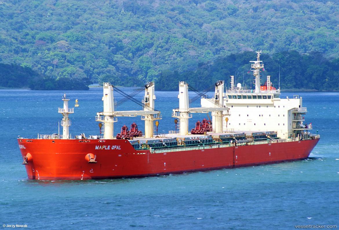 Hg-Singapore - Bulk Carrier vessel