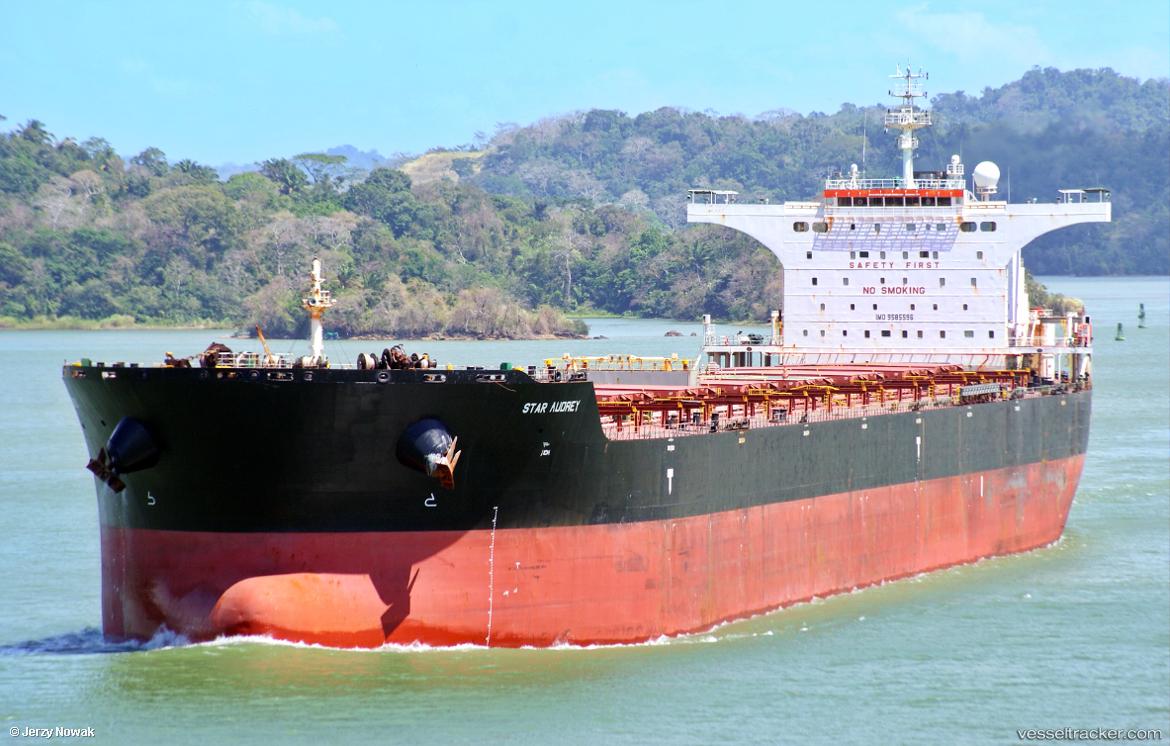 Valentine - Bulk Carrier vessel