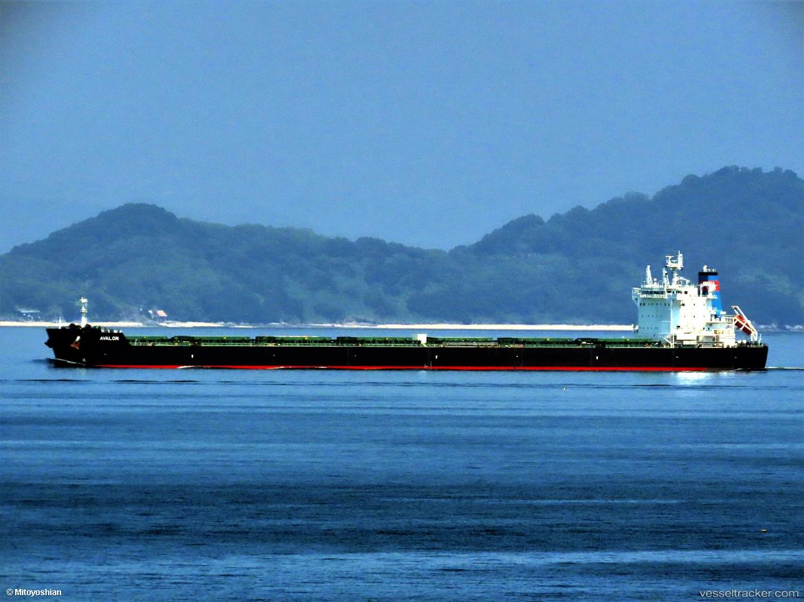 Avalon - Bulk Carrier vessel