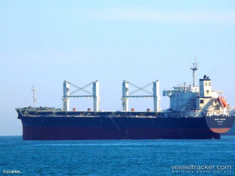 Al-Nahda - Bulk Carrier vessel