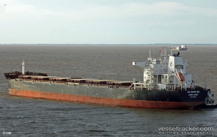 Anthemis - Bulk Carrier vessel