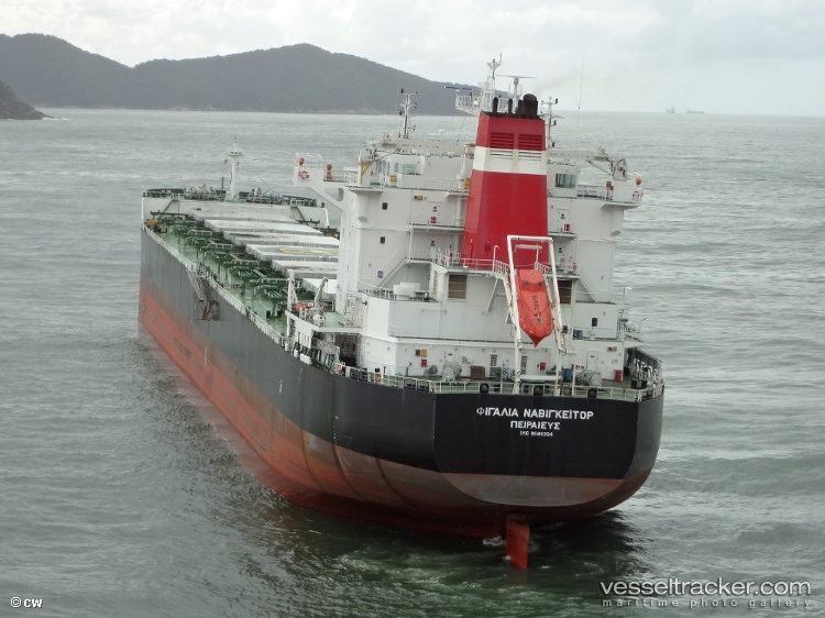 Figalia-Navigator - Bulk Carrier vessel