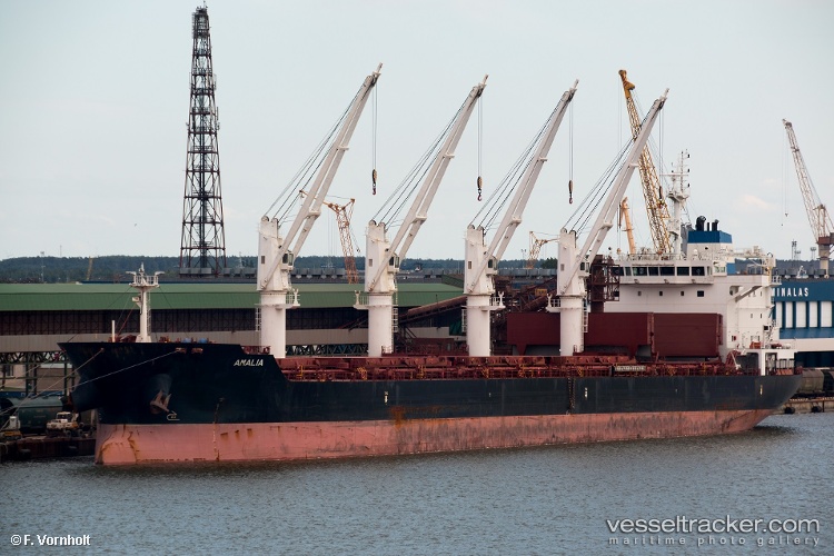 Amalia - Bulk Carrier vessel