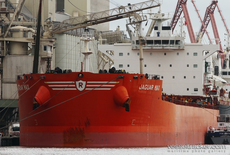 Jaguar-Max - Bulk Carrier vessel