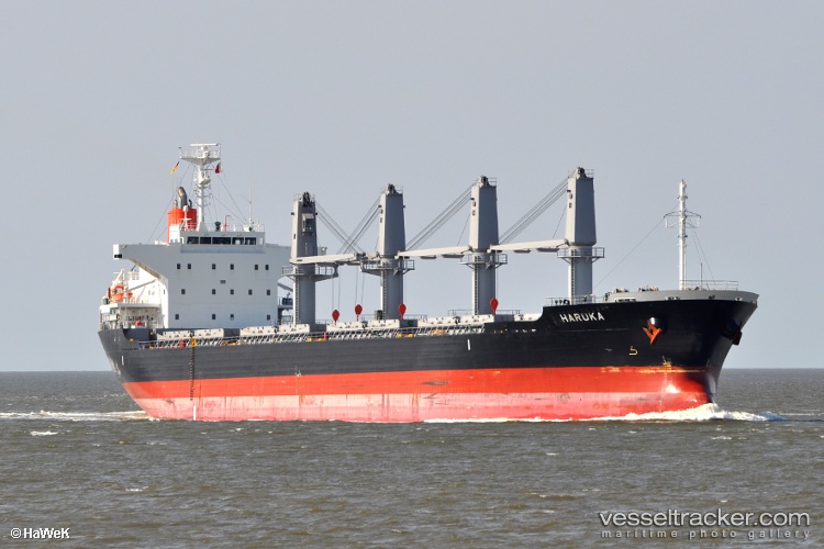 Haruka - Bulk Carrier vessel