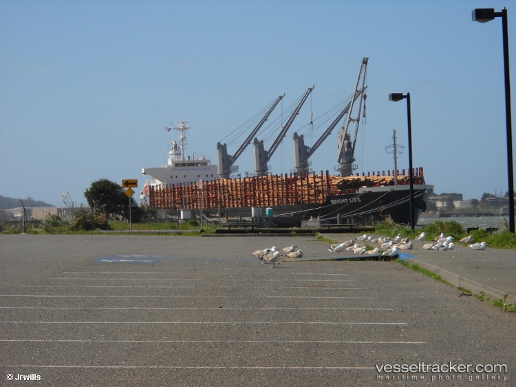 Miro-G - Bulk Carrier vessel