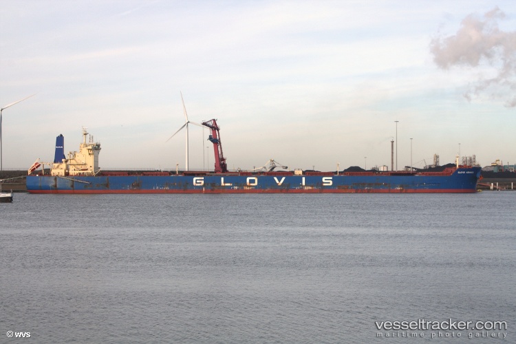 Glovis-Advance - Bulk Carrier vessel