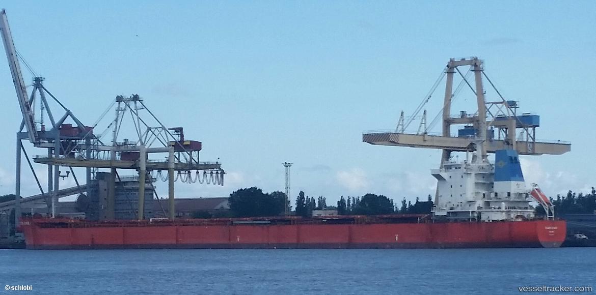 Golden-Ginger - Bulk Carrier vessel