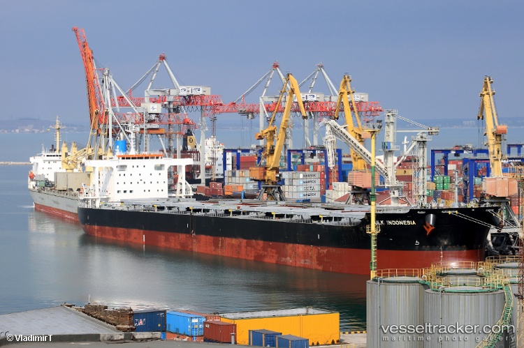 Cedrihpuuuu0gg7 - Bulk Carrier vessel