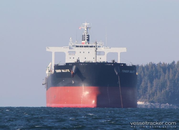Power-Loong - Bulk Carrier vessel