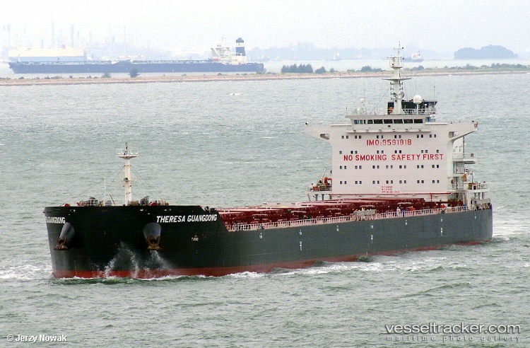 Xin-Hai-Tong-803 - Bulk Carrier vessel