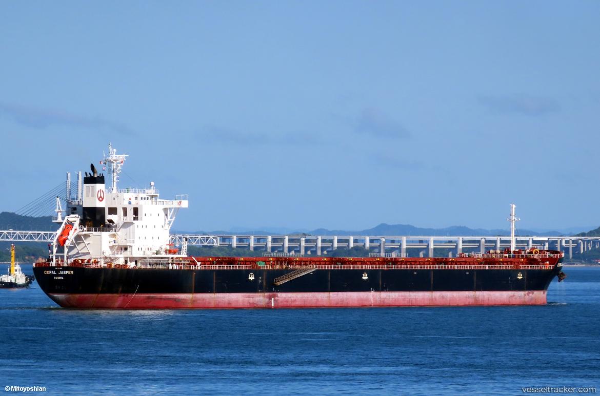 Chola-Symphony - Bulk Carrier vessel
