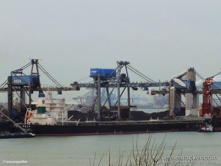 China-Triumph - Bulk Carrier vessel