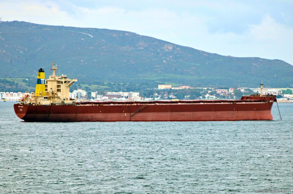 New-Elly - Bulk Carrier vessel
