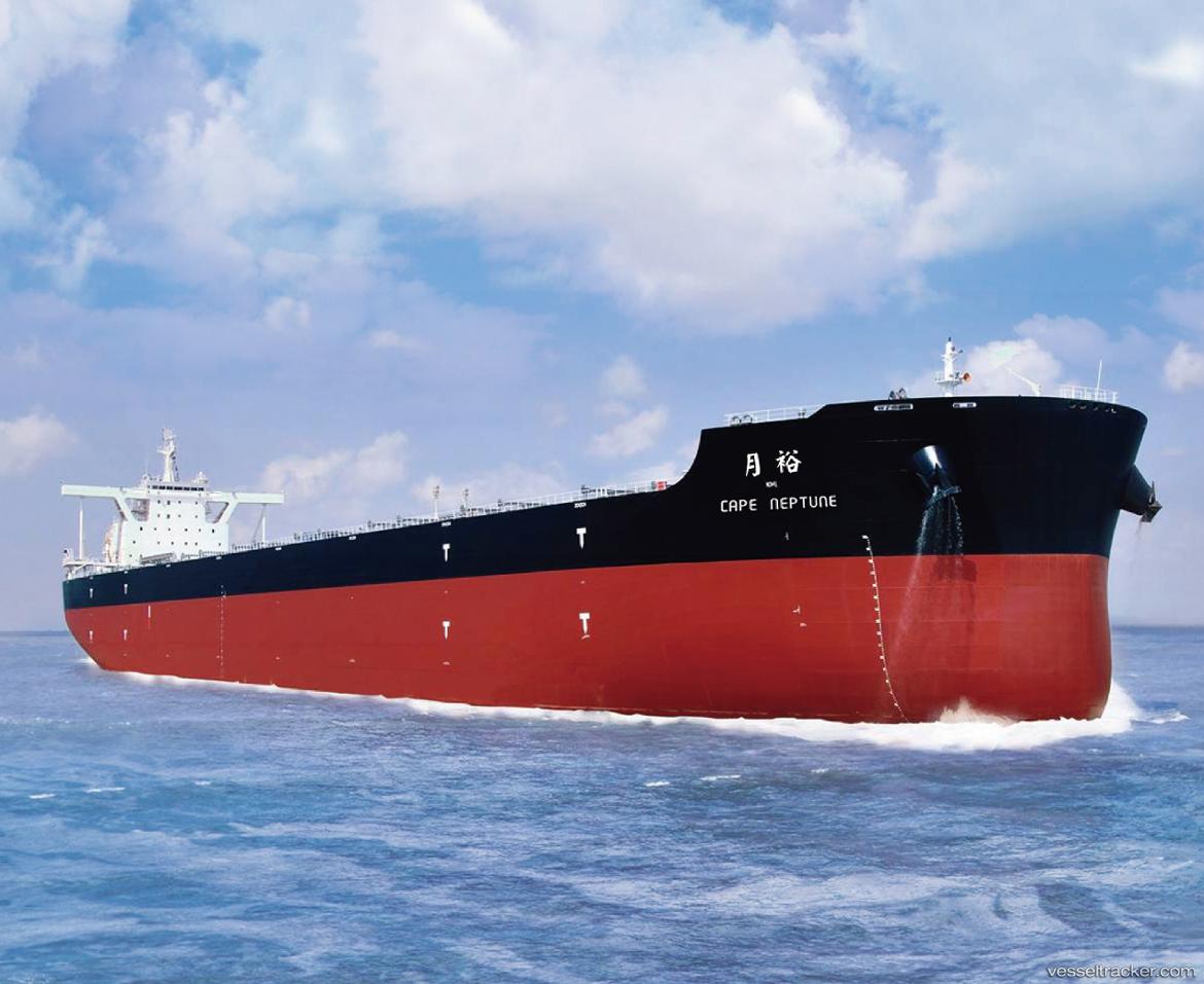 Cape-Neptune - Bulk Carrier vessel