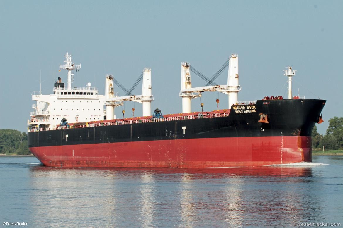 Maple-Harbour - Bulk Carrier