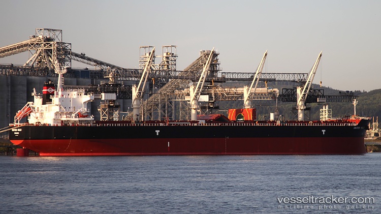 United-Halo - Bulk Carrier vessel