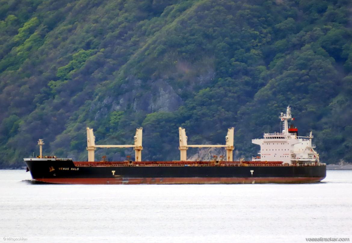 Venus-Halo - Bulk Carrier vessel