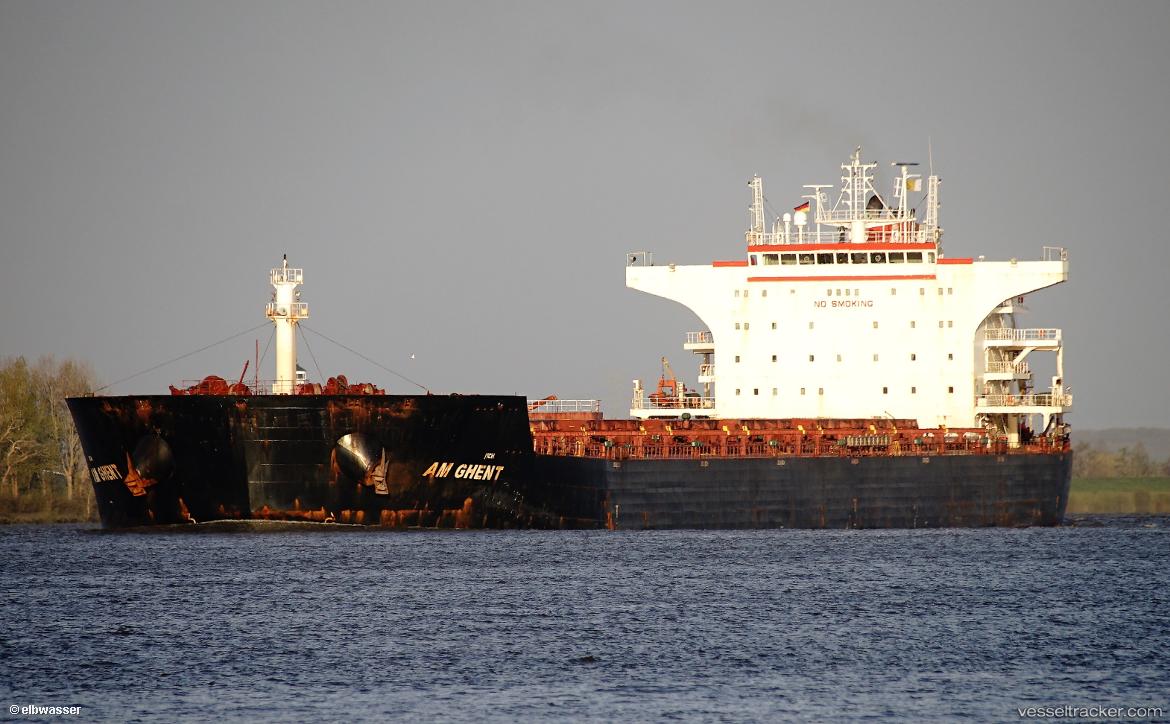 Stalwart - Bulk Carrier vessel