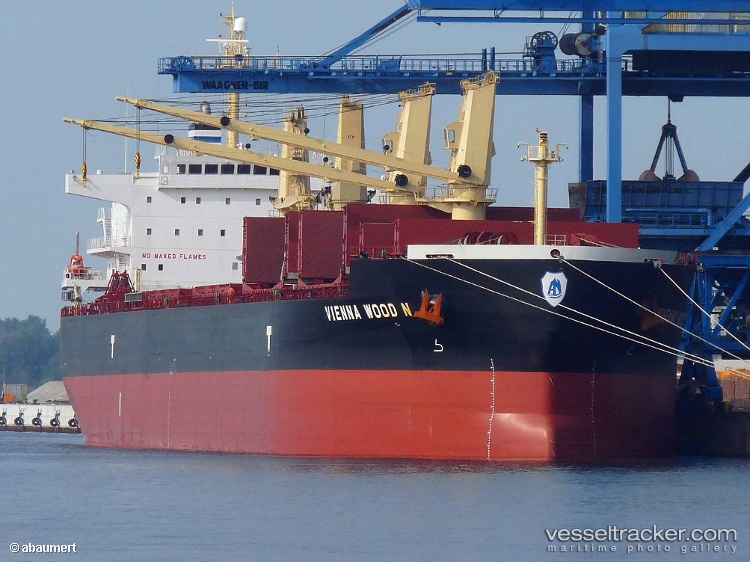 Vienna-Wood-N - Bulk Carrier vessel