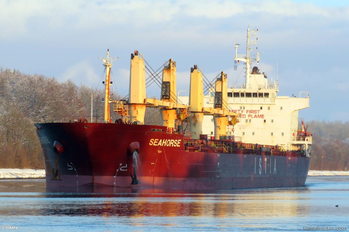 Seahorse - Bulk Carrier vessel