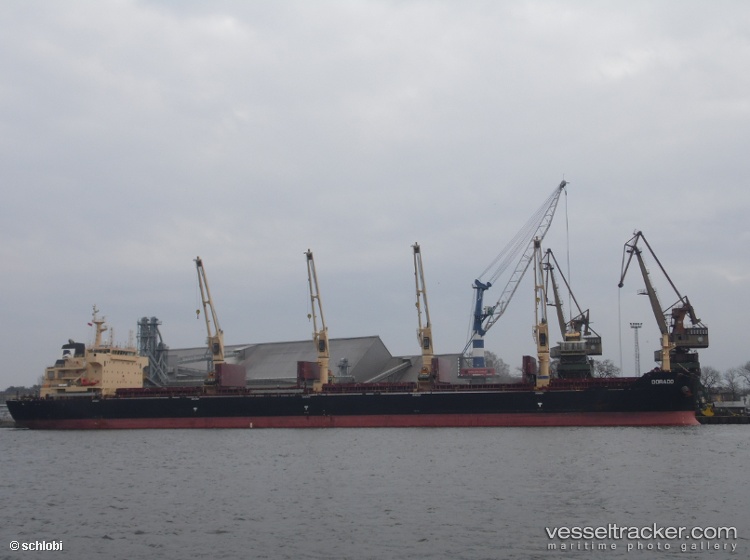 Super-Arteta - Bulk Carrier vessel