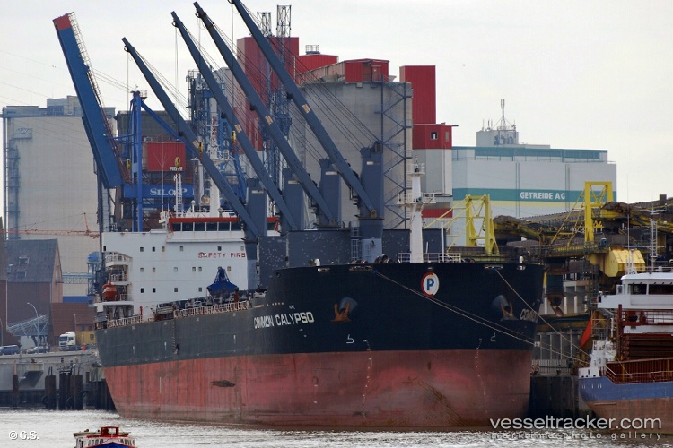 Common-Calypso - Bulk Carrier vessel