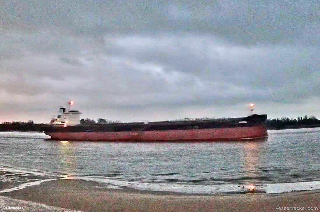 Artemis - Bulk Carrier vessel