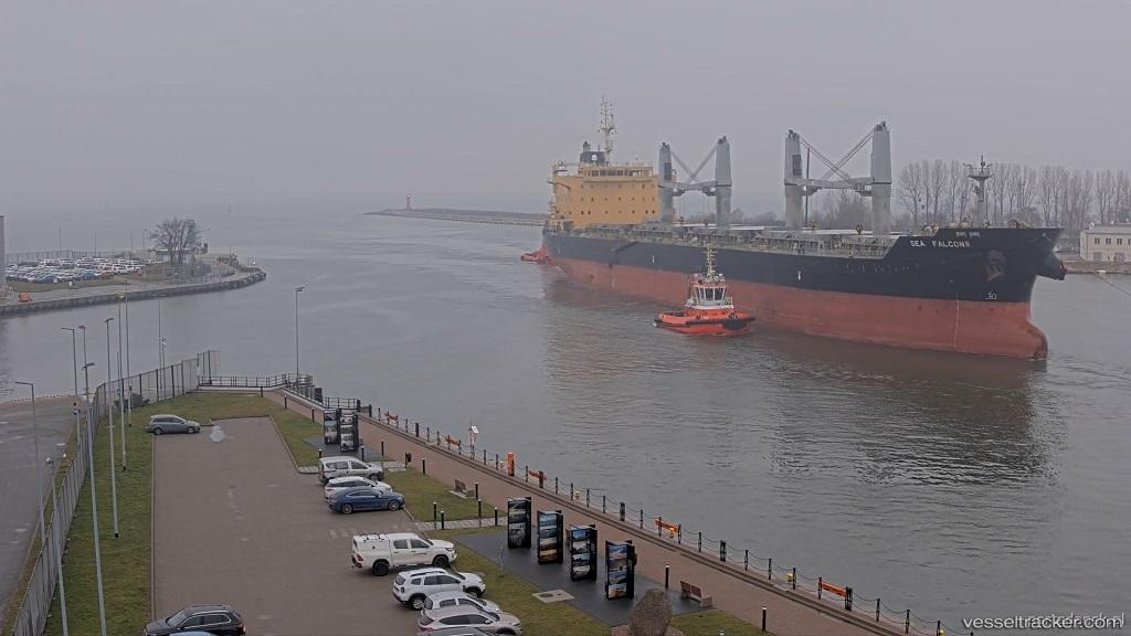 Sea-Falcon-Ii - Bulk Carrier vessel