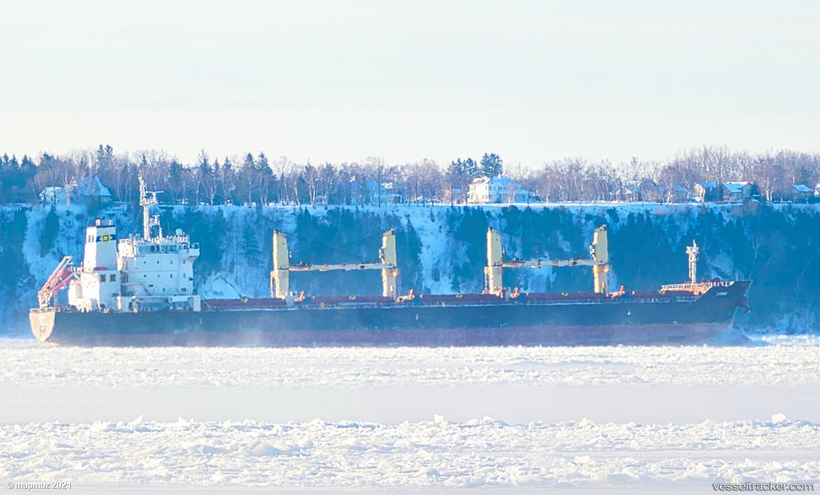 Lambi - Bulk Carrier vessel