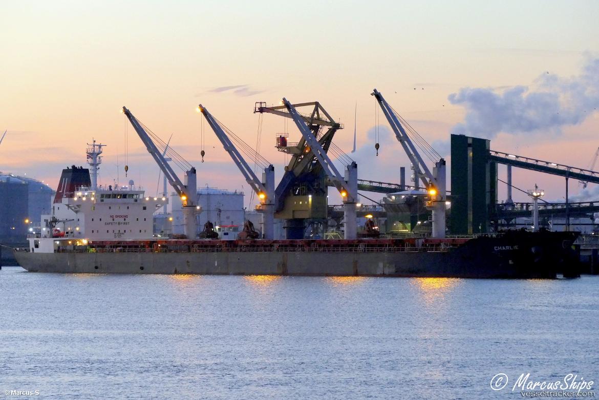 Charlie - Bulk Carrier vessel