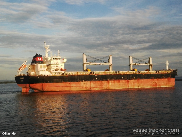 Unicorn - Bulk Carrier vessel