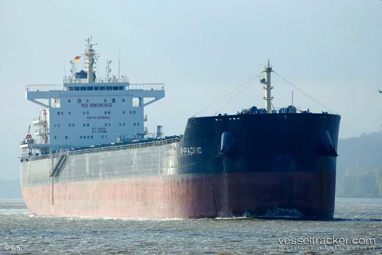 W-pacific - Bulk Carrier vessel