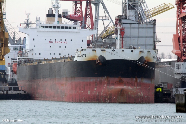 Adelante - Bulk Carrier vessel