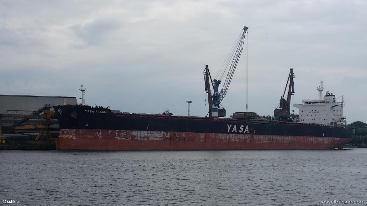 Yasa-Falcon - Bulk Carrier vessel