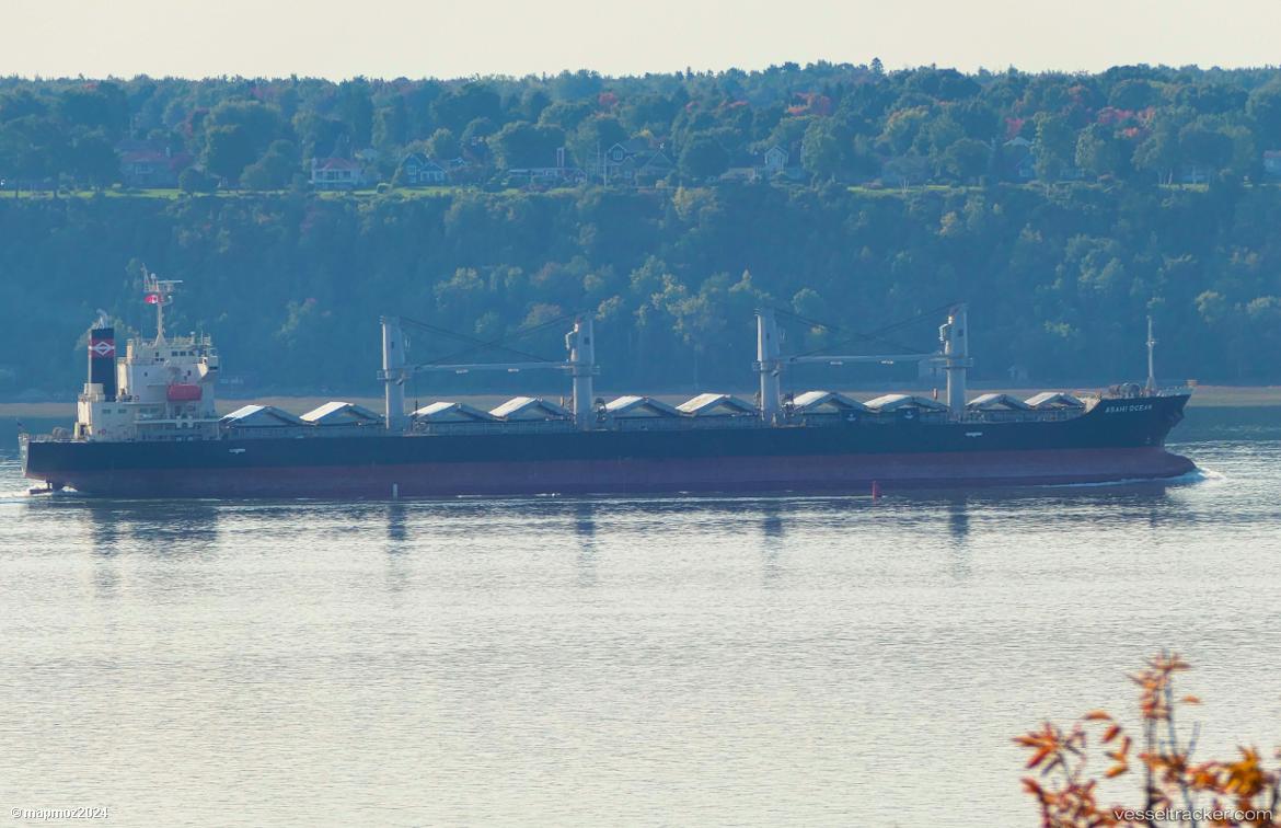 Asahi-Ocean - Bulk Carrier vessel