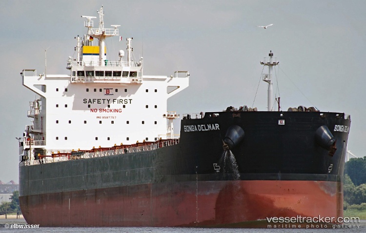 Stardust - Bulk Carrier vessel