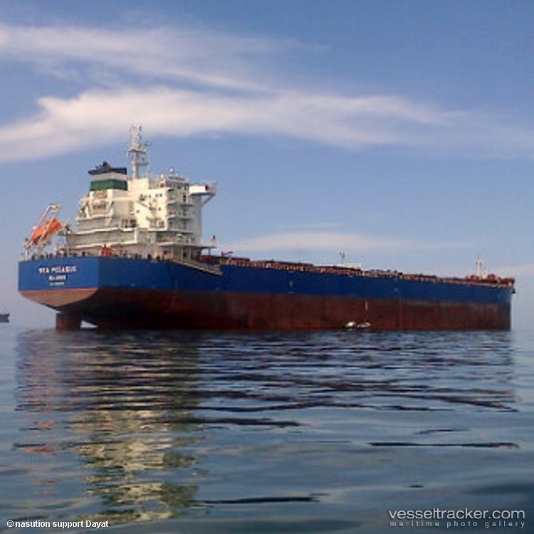Sea-Pegasus - Bulk Carrier vessel