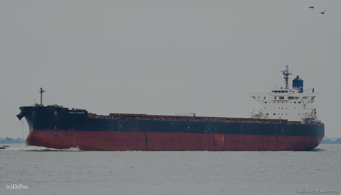 Anglo-Cynosure - Bulk Carrier vessel