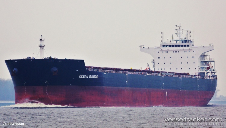 Hong-G - Bulk Carrier vessel