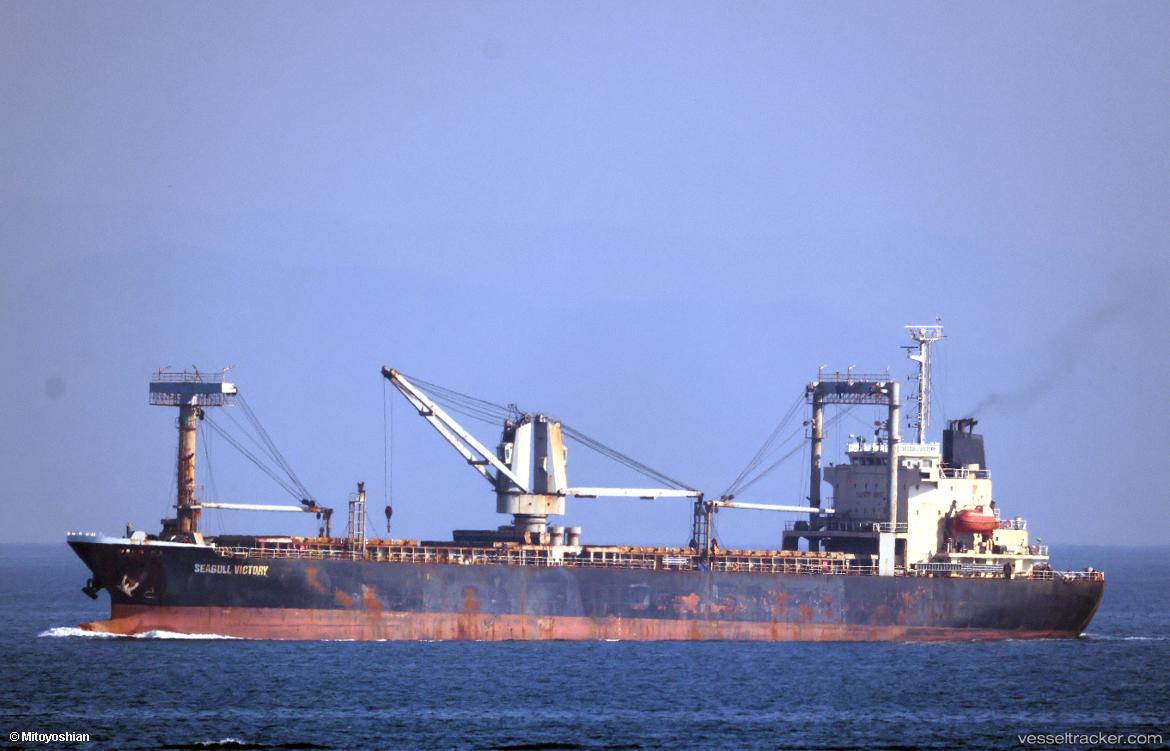 Seagull-Victory - General Cargo Ship vessel