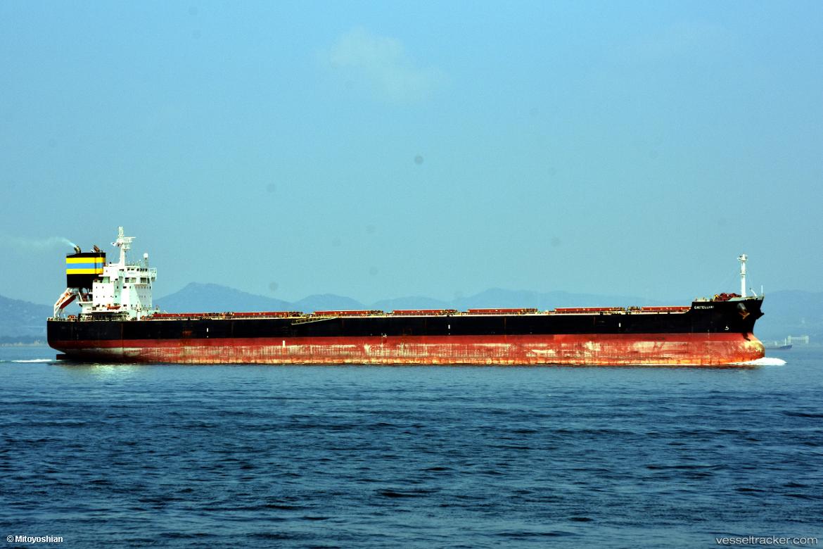 Castellani - Bulk Carrier vessel