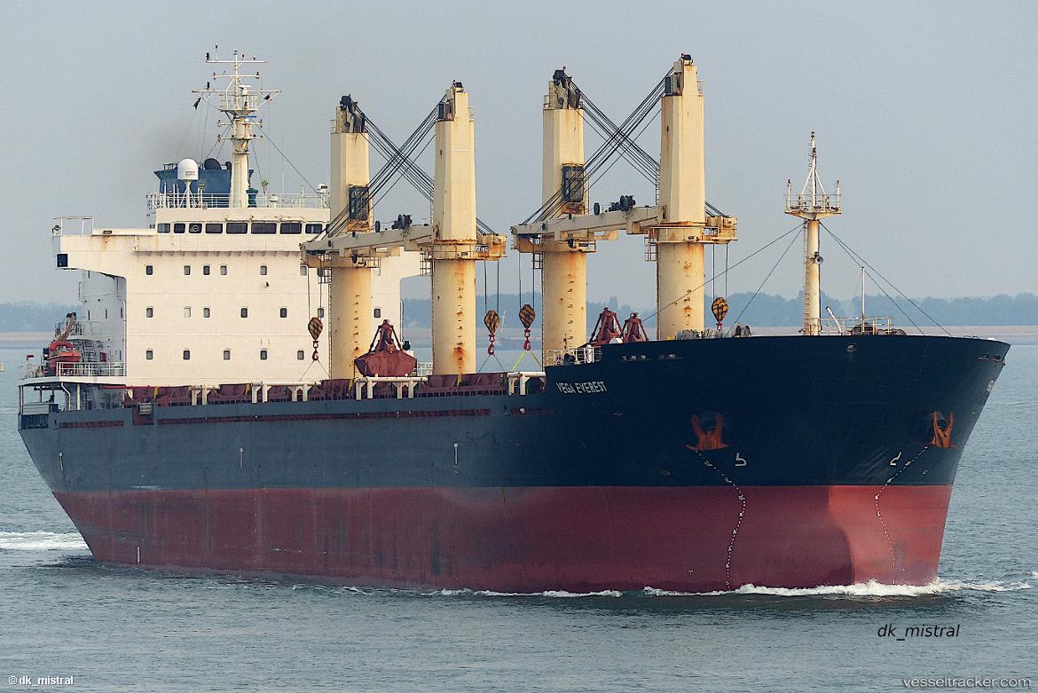 Vega-Everest - Bulk Carrier vessel