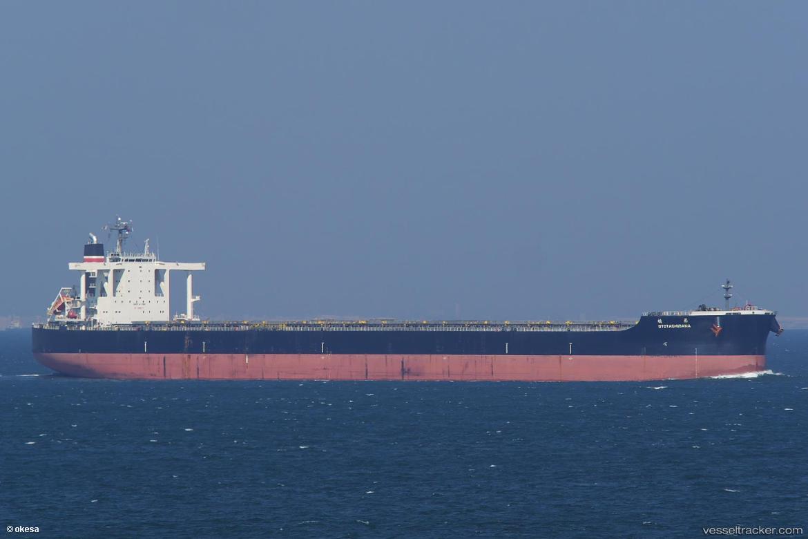 Ototachibana - Bulk Carrier vessel