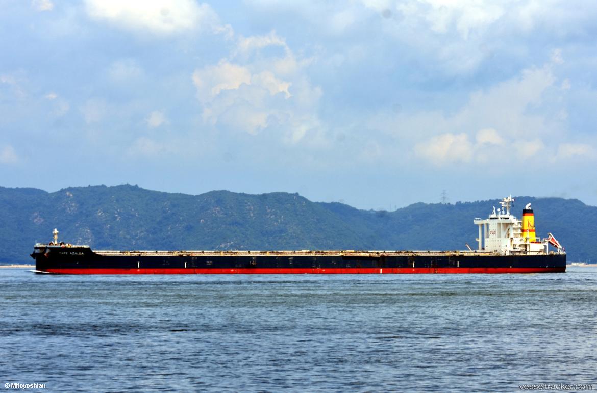 Flying-Loong - Bulk Carrier vessel