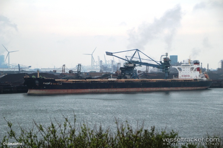 Msxt-Capella - Bulk Carrier vessel